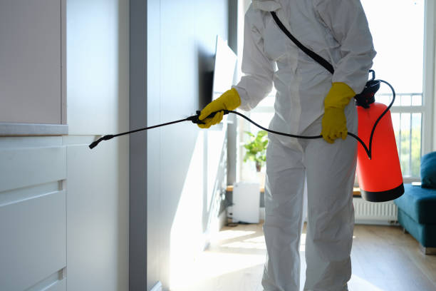 Best Mold Removal Process  in St Stephens, NC